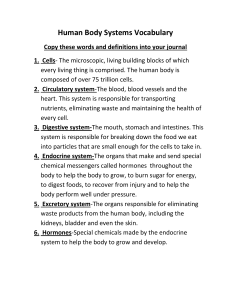 Human Body Systems Vocabulary