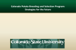 Colorado Potato Breeding and Selection Program