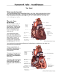 Homework Help – Heart Disease
