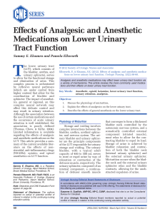 Effects of Analgesic and Anesthetic Medications on Lower Urinary