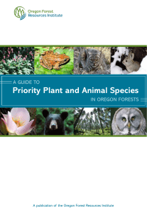 Priority Plant and Animal Species - Oregon Forest Resources Institute