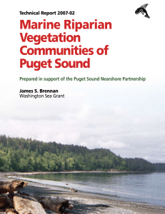 2007-02 Marine Riparian Vegetation Communities of Puget Sound