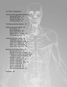 Chapter 2 : "Human Anatomy: The Pieces of the Body Puzzle"