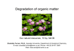 Degradation of organic matter