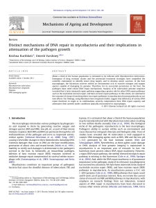 Distinct mechanisms of DNA repair in mycobacteria - MCBL