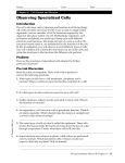 Observing Specialized Cells Lab