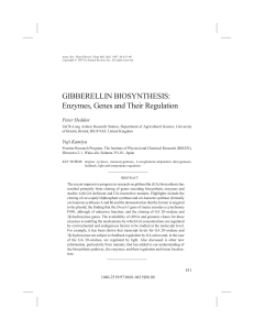 GIBBERELLIN BIOSYNTHESIS: Enzymes, Genes and Their