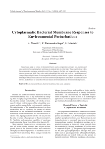 Cytoplasmatic Bacterial Membrane Responses to Environmental