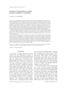 Evolution of hypsodonty in equids: testing a hypothesis of adaptation