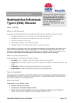 Hib disease Factsheet PDF