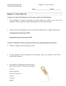 Chapter 6: A Tour of the Cell