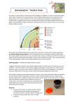 Spinning Spirals – Teachers` Notes File