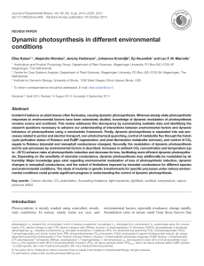 Dynamic photosynthesis in different environmental conditions
