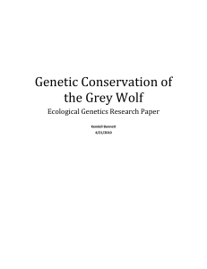 Genetic Conservation of the Grey Wolf
