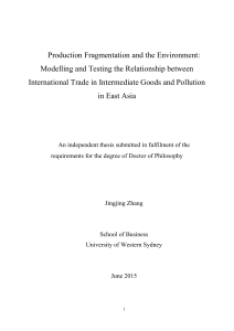 Production Fragmentation and the Environment