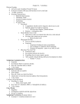 Chapter 34 – Vertebrates Phylum Chordata • Arrived in early