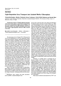 Light-Dependent Iron Transport into Isolated Barley Chloroplasts