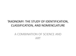 taxonomy: the study of identification, classification, and nomenclature