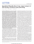 Specialized filopodia direct long-range transport of SHH