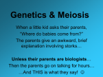 Meiosis and Introduction to Genetics