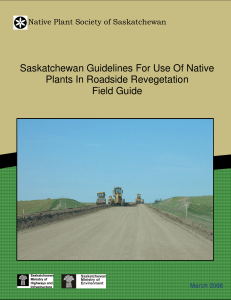 Roadside Revegetation Field Guide