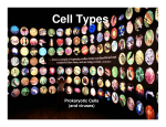 Cell Types - MCDS Biology