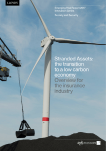 Stranded Assets: the transition to a low carbon