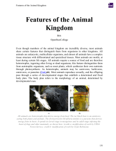 Features of the Animal Kingdom
