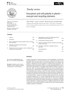 Exocytosis and cell polarity in plants exocyst and recycling domains