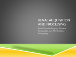 Renal Acquisition and processing