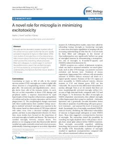 A novel role for microglia in minimizing excitotoxicity | BMC Biology