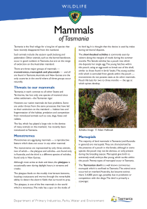 Mammals - Tasmania Parks and Wildlife Service