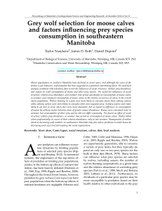 Grey wolf selection for moose calves and factors influencing prey