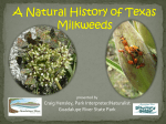 A Natural History of Texas Milkweed