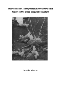 Interference of Staphylococcus aureus virulence factors in the blood