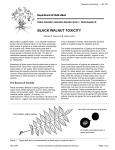 black walnut toxicity - Purdue Extension