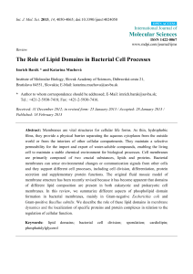 The Role of Lipid Domains in Bacterial Cell Processes