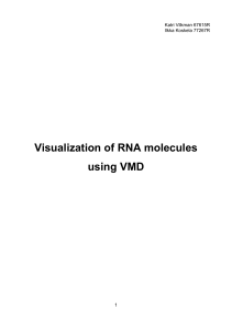 Visualization of RNA molecules using VMD