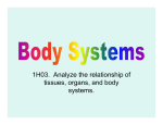 HSI 1.01 Body Systems