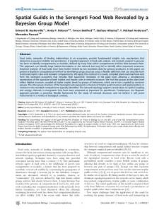 paper on modeling food webs