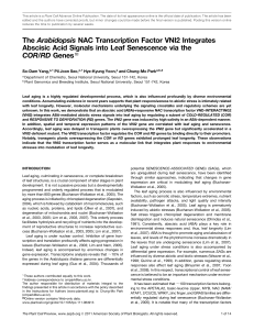 The Arabidopsis NAC Transcription Factor VNI2