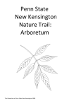 Penn State New Kensington Nature Trail: Arboretum