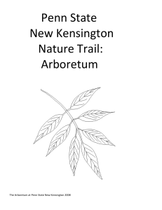 Penn State New Kensington Nature Trail: Arboretum