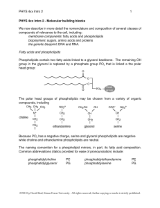 PHYS 4xx Intro 2 1 PHYS 4xx Intro 2