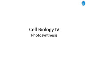 Cell Biology IV: