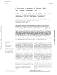 Circulating precursors of human CD1c+ and CD141+