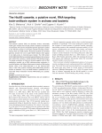 The HicAB cassette, a putative novel, RNA-targeting toxin