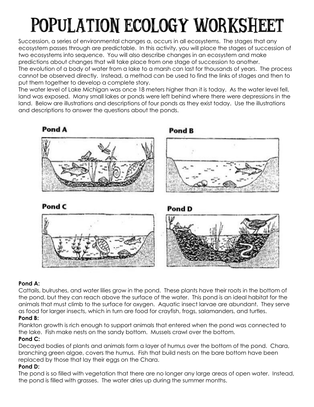 Ecological Succession Worksheet Within Ecological Succession Worksheet Answers