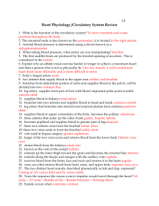 Heart Physiology /Circulatory System Review