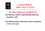 CHAPTER 12 THE CELL CYCLE The Key Roles of Cell Division